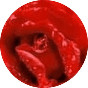 Foto di Eli